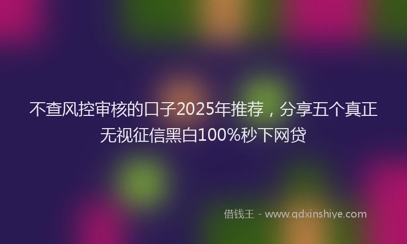 不查风控审核的口子2025年推荐，分享五个真正无视征信黑白100%秒下网贷