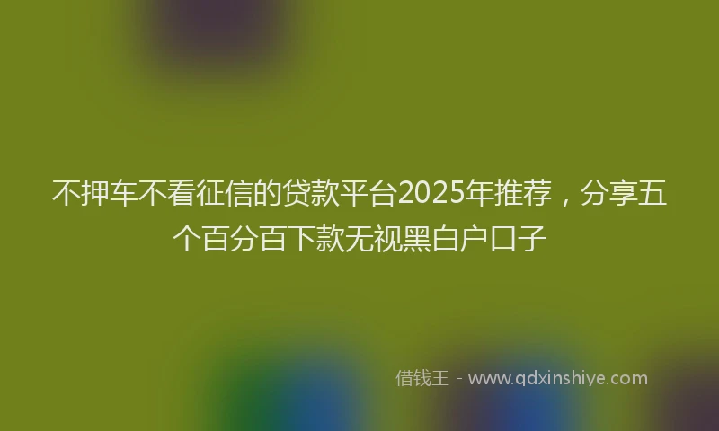 不押车不看征信的贷款平台2025年推荐，分享五个百分百下款无视黑白户口子
