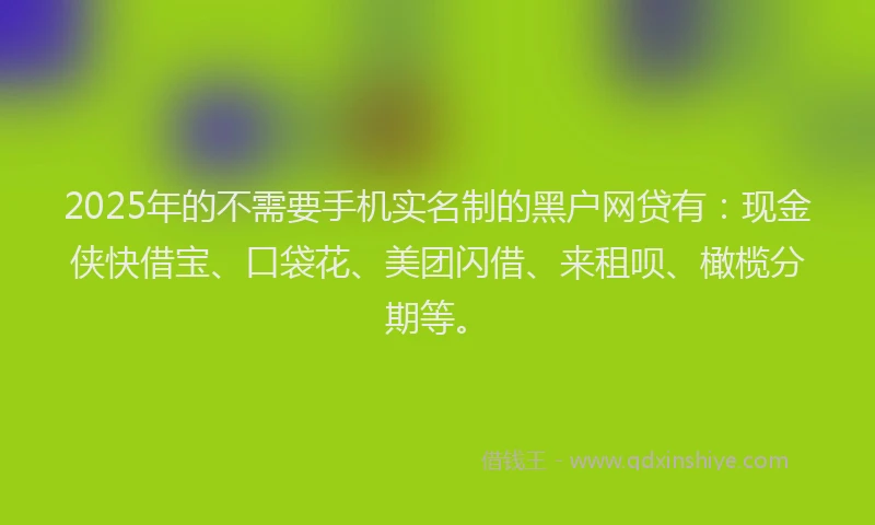 2025年的不需要手机实名制的黑户网贷有：现金侠快借宝、口袋花、美团闪借、来租呗、橄榄分期等。