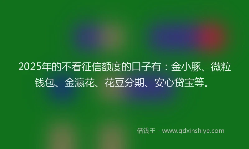 2025年的不看征信额度的口子有：金小豚、微粒钱包、金瀛花、花豆分期、安心贷宝等。