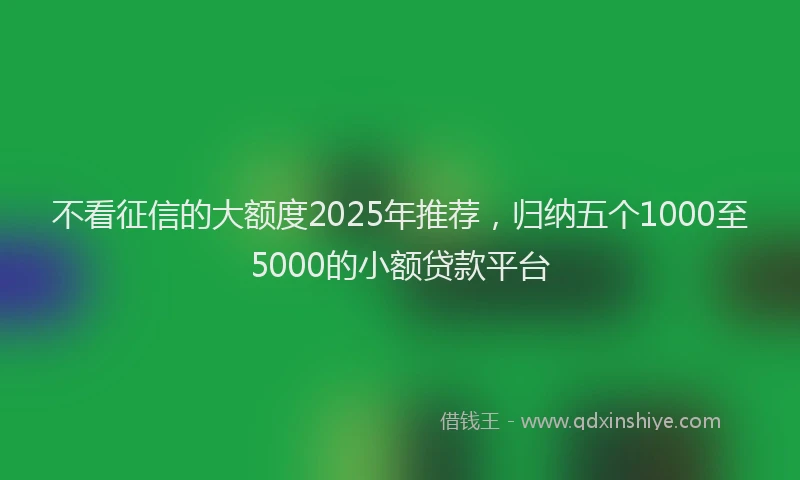 不看征信的大额度2025年推荐，归纳五个1000至5000的小额贷款平台
