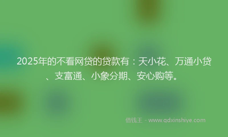 2025年的不看网贷的贷款有：天小花、万通小贷、支富通、小象分期、安心购等。
