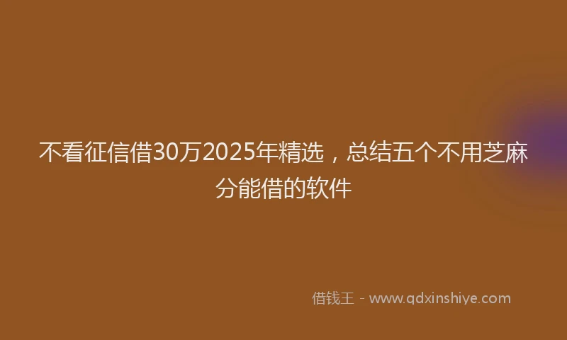 不看征信借30万2025年精选，总结五个不用芝麻分能借的软件