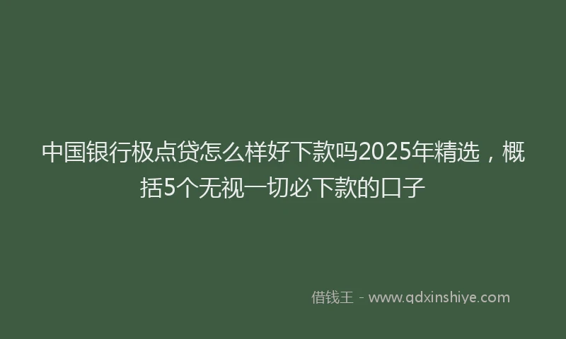 中国银行极点贷怎么样好下款吗2025年精选，概括5个无视一切必下款的口子