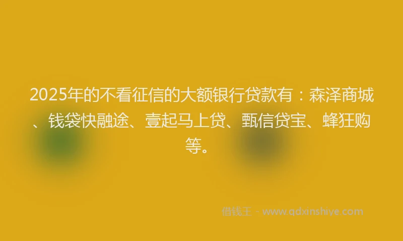 2025年的不看征信的大额银行贷款有：森泽商城、钱袋快融途、壹起马上贷、甄信贷宝、蜂狂购等。