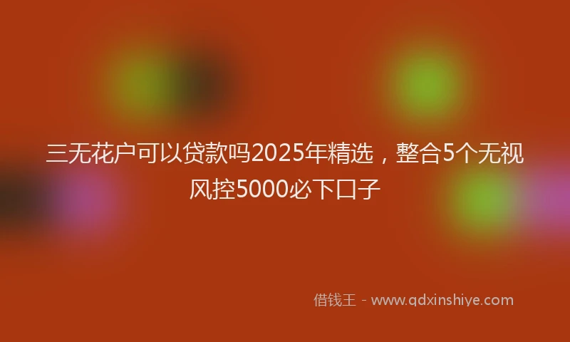 三无花户可以贷款吗2025年精选，整合5个无视风控5000必下口子