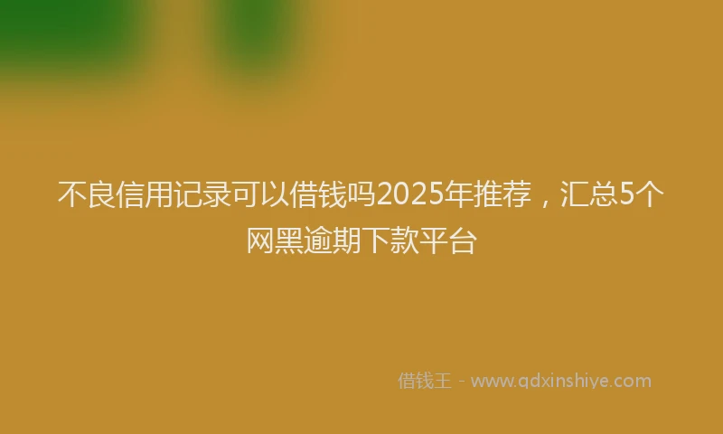 不良信用记录可以借钱吗2025年推荐，汇总5个网黑逾期下款平台