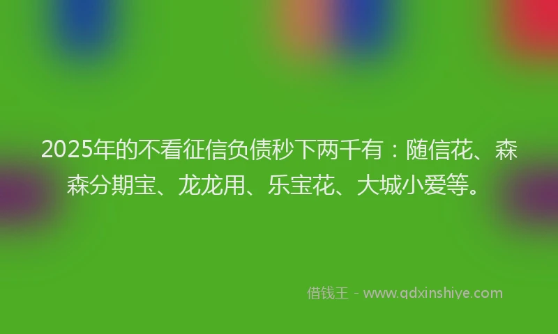 2025年的不看征信负债秒下两千有：随信花、森森分期宝、龙龙用、乐宝花、大城小爱等。