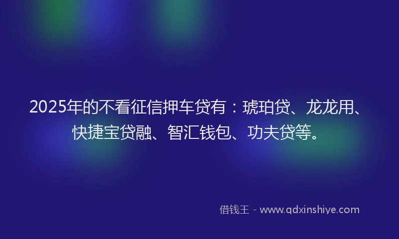 2025年的不看征信押车贷有：琥珀贷、龙龙用、快捷宝贷融、智汇钱包、功夫贷等。