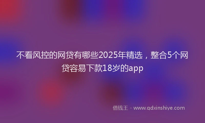 不看风控的网贷有哪些2025年精选，整合5个网贷容易下款18岁的app