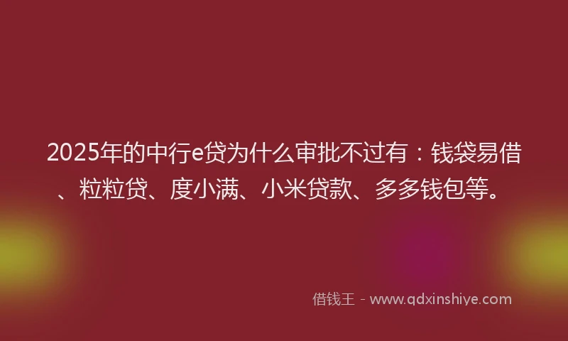 2025年的中行e贷为什么审批不过有：钱袋易借、粒粒贷、度小满、小米贷款、多多钱包等。