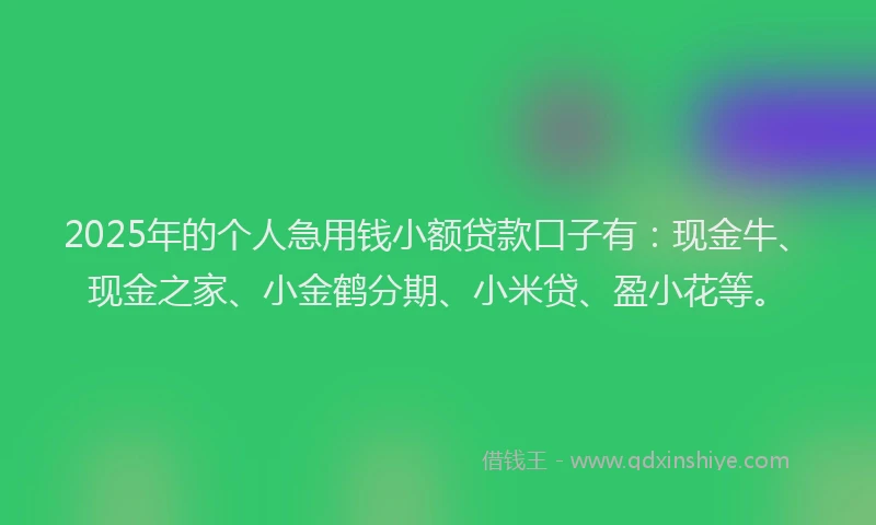 2025年的个人急用钱小额贷款口子有：现金牛、现金之家、小金鹤分期、小米贷、盈小花等。