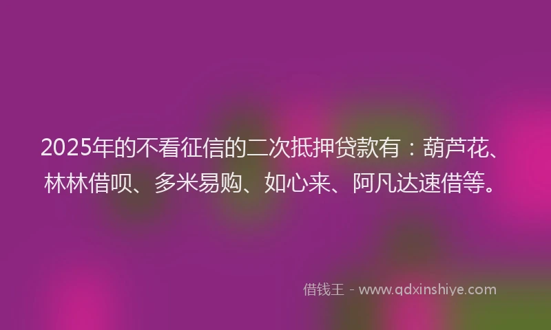 2025年的不看征信的二次抵押贷款有：葫芦花、林林借呗、多米易购、如心来、阿凡达速借等。
