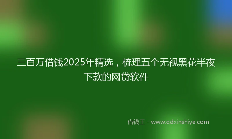 三百万借钱2025年精选，梳理五个无视黑花半夜下款的网贷软件