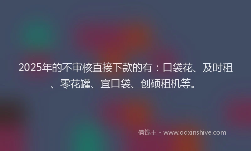 2025年的不审核直接下款的有：口袋花、及时租、零花罐、宜口袋、创硕租机等。