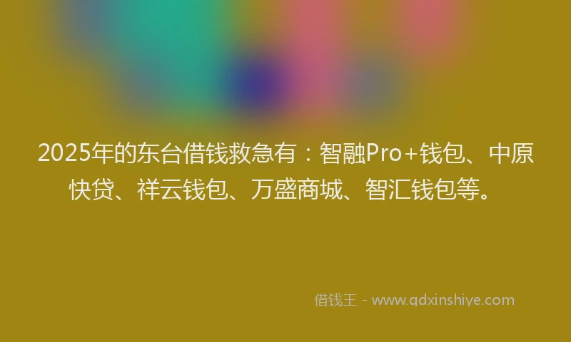 2025年的东台借钱救急有：智融Pro+钱包、中原快贷、祥云钱包、万盛商城、智汇钱包等。