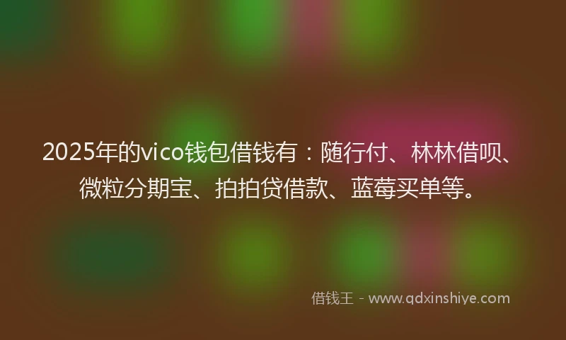 2025年的vico钱包借钱有：随行付、林林借呗、微粒分期宝、拍拍贷借款、蓝莓买单等。