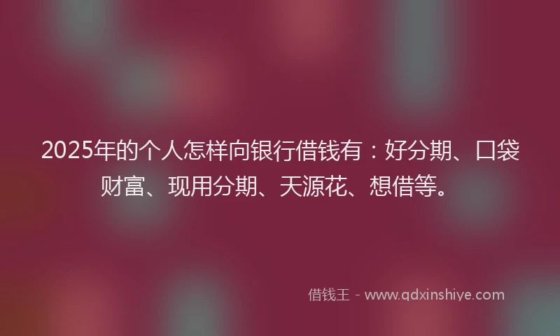 2025年的个人怎样向银行借钱有：好分期、口袋财富、现用分期、天源花、想借等。