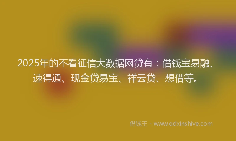 2025年的不看征信大数据网贷有：借钱宝易融、速得通、现金贷易宝、祥云贷、想借等。