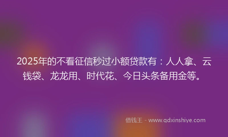2025年的不看征信秒过小额贷款有：人人拿、云钱袋、龙龙用、时代花、今日头条备用金等。