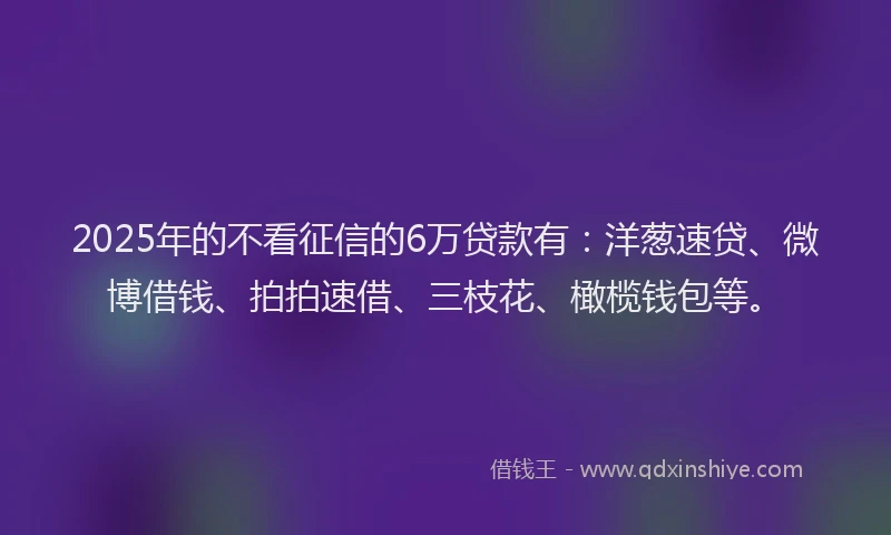 2025年的不看征信的6万贷款有：洋葱速贷、微博借钱、拍拍速借、三枝花、橄榄钱包等。