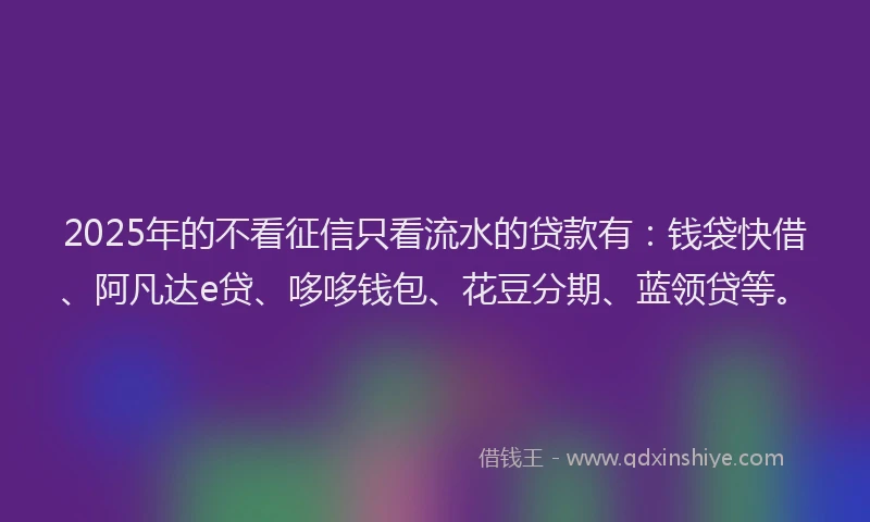 2025年的不看征信只看流水的贷款有：钱袋快借、阿凡达e贷、哆哆钱包、花豆分期、蓝领贷等。