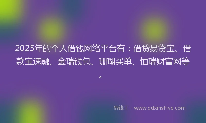 2025年的个人借钱网络平台有：借贷易贷宝、借款宝速融、金瑞钱包、珊瑚买单、恒瑞财富网等。