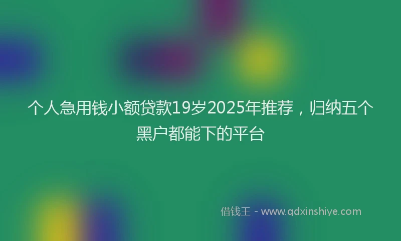 个人急用钱小额贷款19岁2025年推荐，归纳五个黑户都能下的平台
