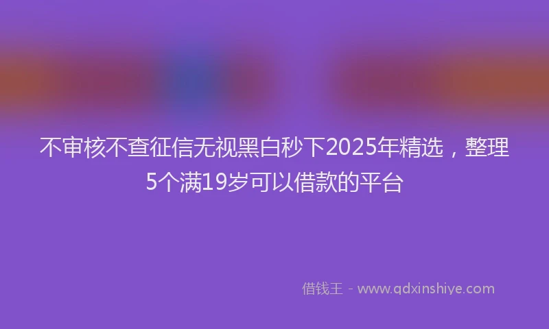 不审核不查征信无视黑白秒下2025年精选，整理5个满19岁可以借款的平台