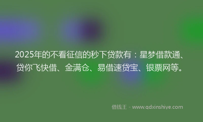 2025年的不看征信的秒下贷款有：星梦借款通、贷你飞快借、金满仓、易借速贷宝、银票网等。
