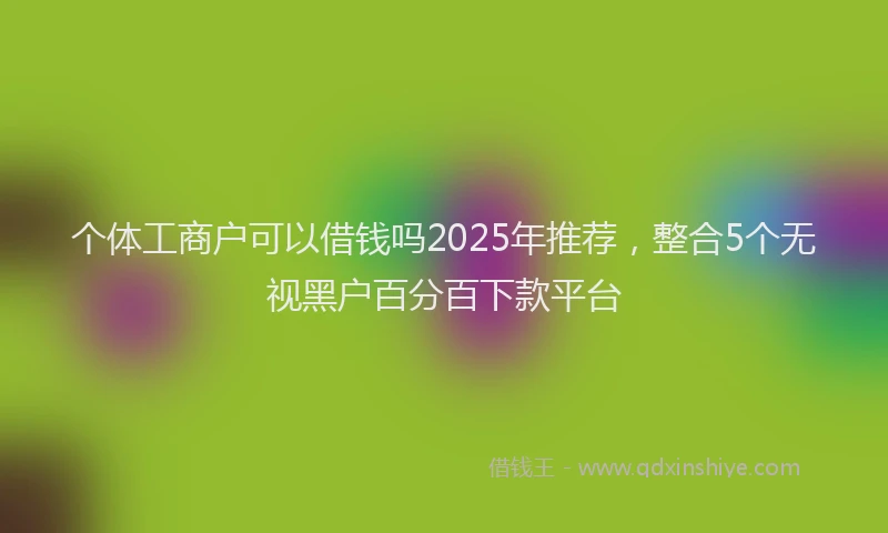 个体工商户可以借钱吗2025年推荐，整合5个无视黑户百分百下款平台