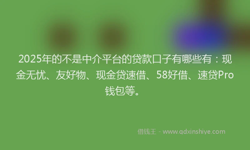 2025年的不是中介平台的贷款口子有哪些有：现金无忧、友好物、现金贷速借、58好借、速贷Pro钱包等。