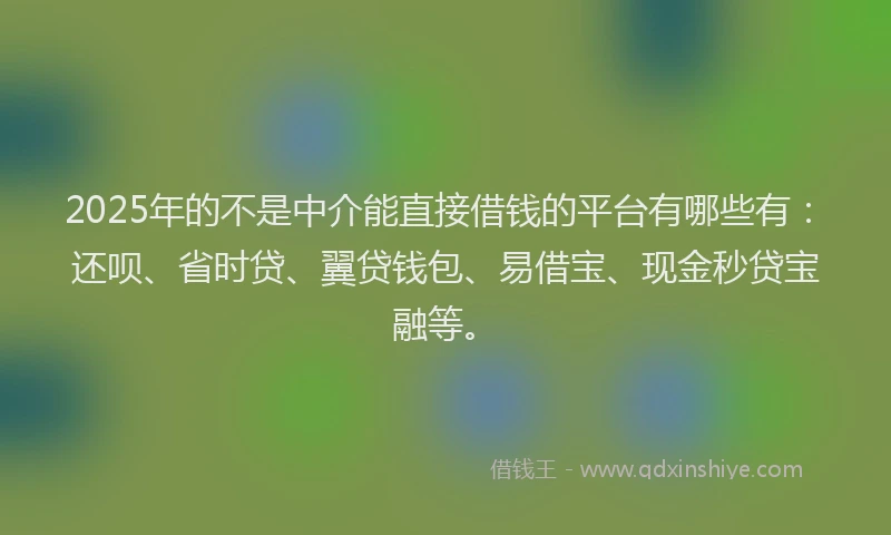 2025年的不是中介能直接借钱的平台有哪些有：还呗、省时贷、翼贷钱包、易借宝、现金秒贷宝融等。