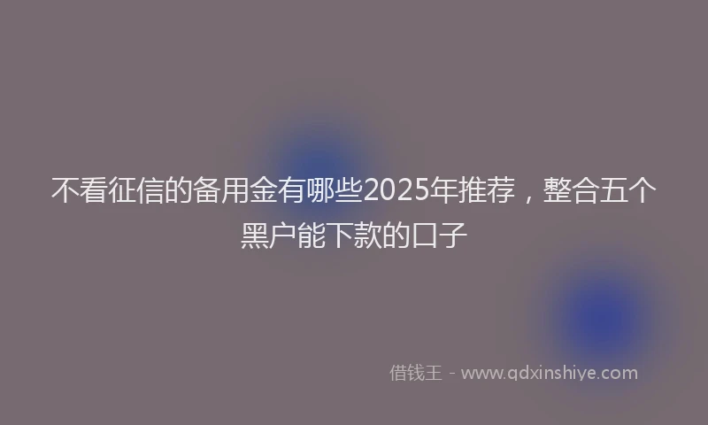 不看征信的备用金有哪些2025年推荐，整合五个黑户能下款的口子