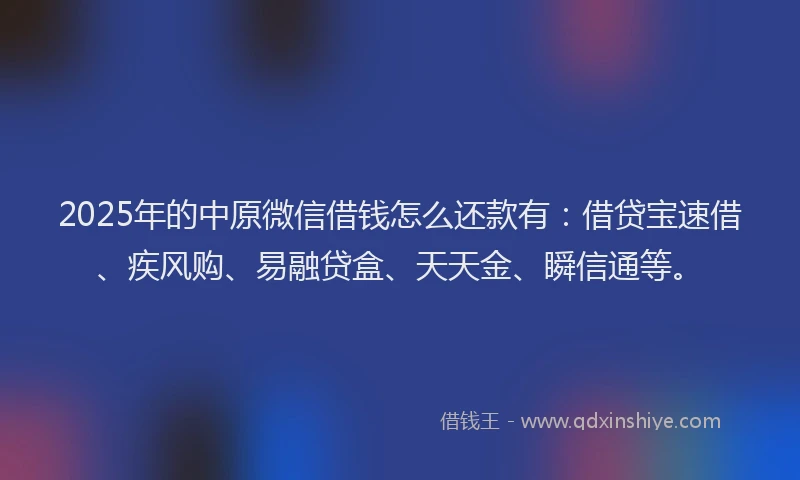 2025年的中原微信借钱怎么还款有：借贷宝速借、疾风购、易融贷盒、天天金、瞬信通等。
