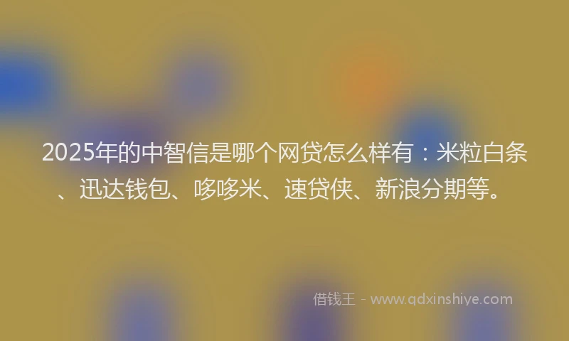 2025年的中智信是哪个网贷怎么样有：米粒白条、迅达钱包、哆哆米、速贷侠、新浪分期等。