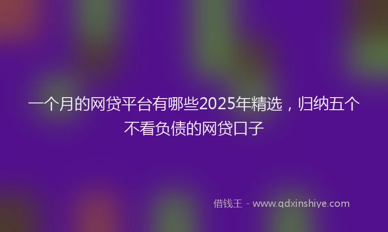 一个月的网贷平台有哪些2025年精选，归纳五个不看负债的网贷口子