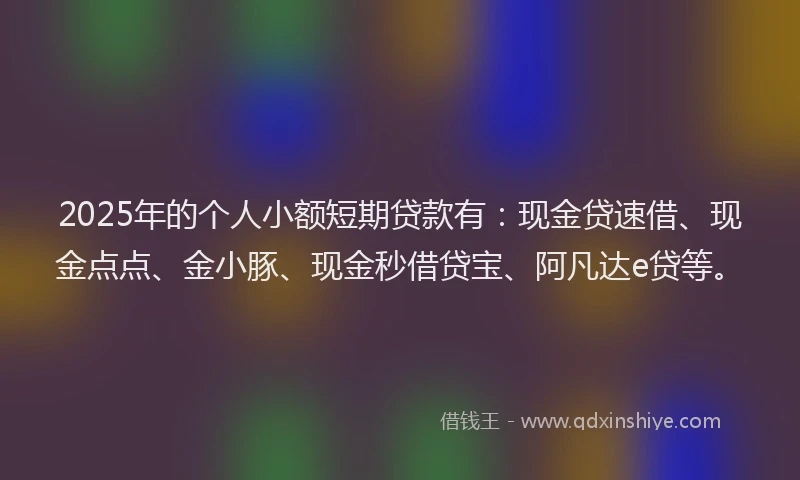 2025年的个人小额短期贷款有：现金贷速借、现金点点、金小豚、现金秒借贷宝、阿凡达e贷等。