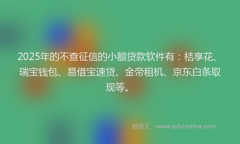 2025年的不查征信的小额贷款软件有：桔享花、瑞宝钱包、易借宝速贷、金帝租机、京东白条取现等。