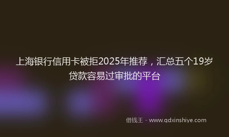 上海银行信用卡被拒2025年推荐，汇总五个19岁贷款容易过审批的平台