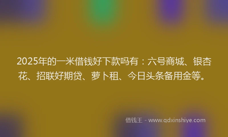 2025年的一米借钱好下款吗有：六号商城、银杏花、招联好期贷、萝卜租、今日头条备用金等。