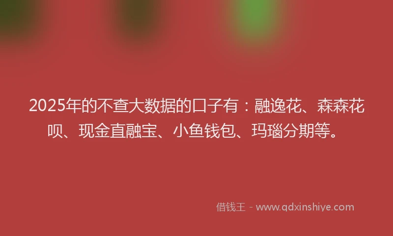 2025年的不查大数据的口子有：融逸花、森森花呗、现金直融宝、小鱼钱包、玛瑙分期等。