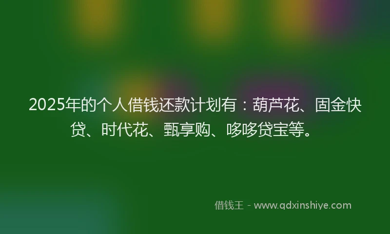 2025年的个人借钱还款计划有：葫芦花、固金快贷、时代花、甄享购、哆哆贷宝等。