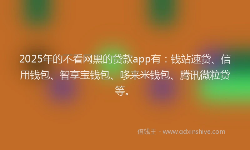 2025年的不看网黑的贷款app有：钱站速贷、信用钱包、智享宝钱包、哆来米钱包、腾讯微粒贷等。