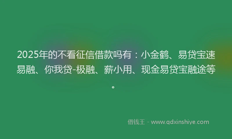 2025年的不看征信借款吗有：小金鹤、易贷宝速易融、你我贷-极融、薪小用、现金易贷宝融途等。