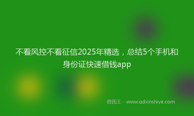 不看风控不看征信2025年精选，总结5个手机和身份证快速借钱app