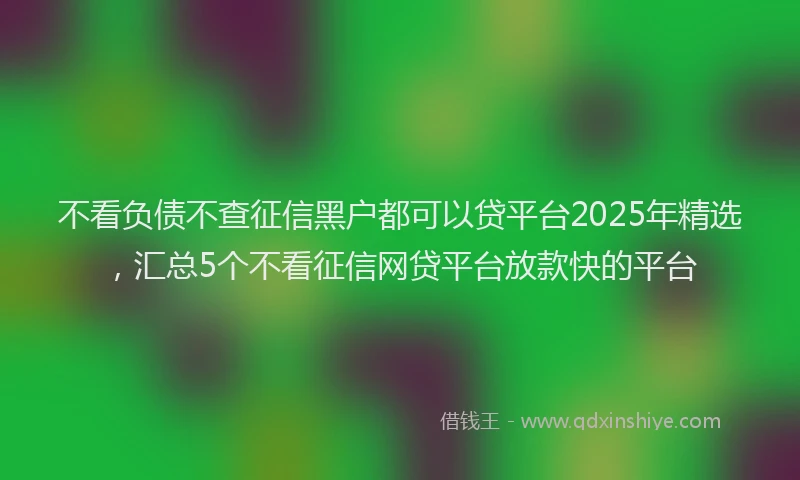 不看负债不查征信黑户都可以贷平台2025年精选，汇总5个不看征信网贷平台放款快的平台