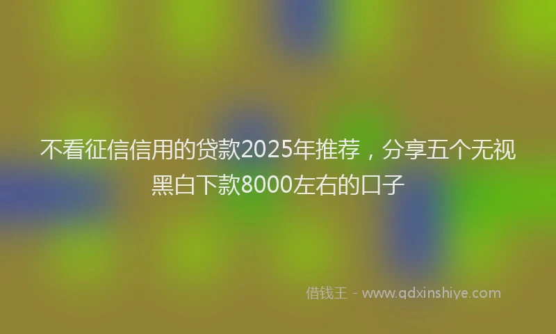 不看征信信用的贷款2025年推荐，分享五个无视黑白下款8000左右的口子