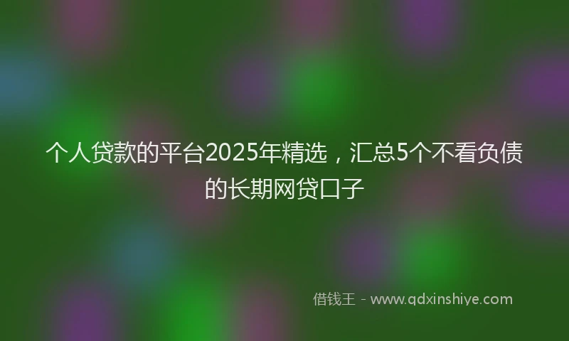 个人贷款的平台2025年精选，汇总5个不看负债的长期网贷口子
