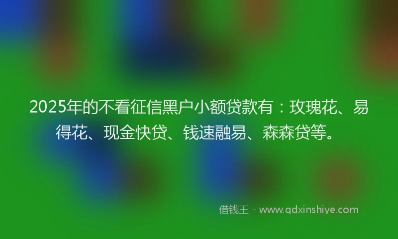 2025年的不看征信黑户小额贷款有：玫瑰花、易得花、现金快贷、钱速融易、森森贷等。